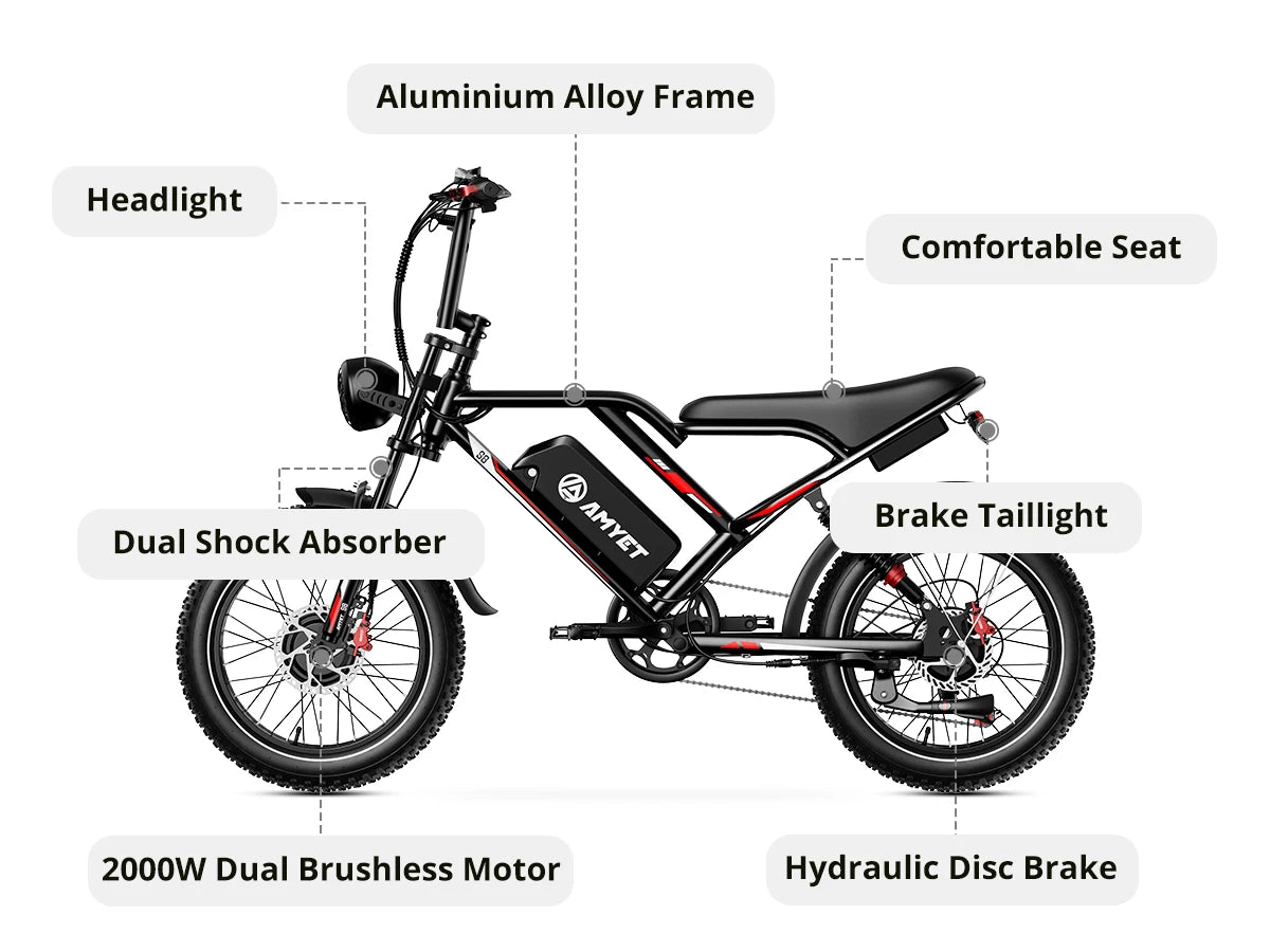 Electric Bicycle 2000W-48V-25AH Dual-Motor Mountain Moped E-bikes