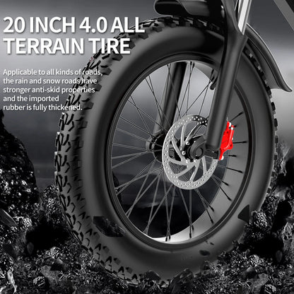 E-BIKE 3 Different Battery Powers to Choose Waterproof Dual-motor 20X4.0FatTire Adult BICYCLE