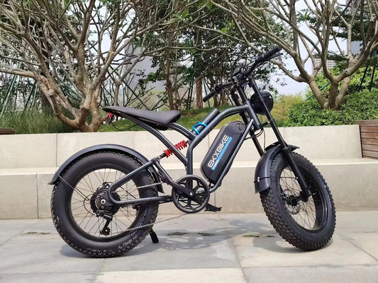 Electric Bike 20‘’*4.0 Fat-Tires 1000W-48V20AH E-Bike MTB