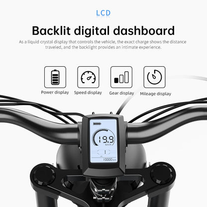 Electric Bike 20‘’*4.0 Fat-Tires 1000W-48V20AH E-Bike MTB