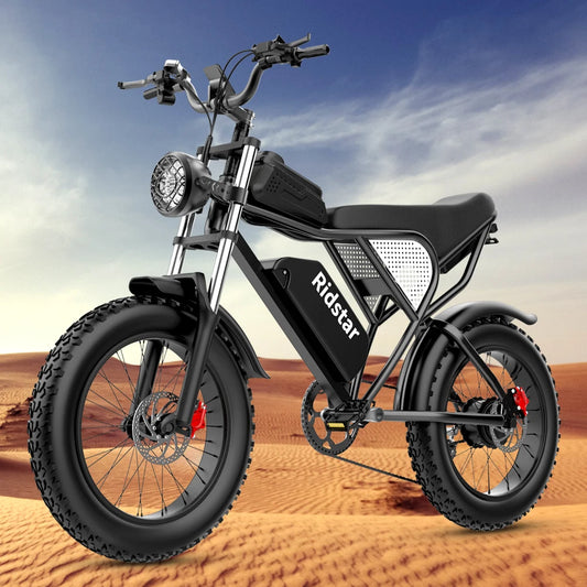 E-BIKE 3 Different Battery Powers to Choose Waterproof Dual-motor 20X4.0FatTire Adult BICYCLE