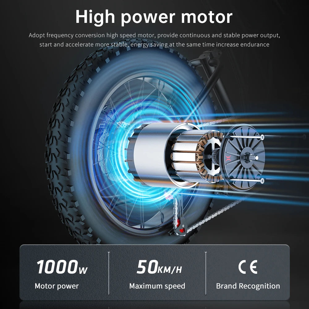 Electric Bike 20‘’*4.0 Fat-Tires 1000W-48V20AH E-Bike MTB