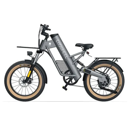 Electric Bike 1000W E-bike FAT-TIRE 48V-20AH Snow-Bike Cargo