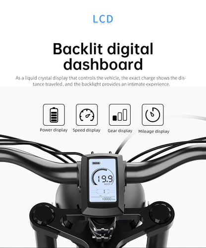Electric Bike 20‘’*4.0 Fat-Tires 1000W-48V20AH E-Bike MTB